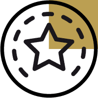 Icon mit Kreis und einem Stern als Symbol für Brand Manager im Großhandel für Schmuck